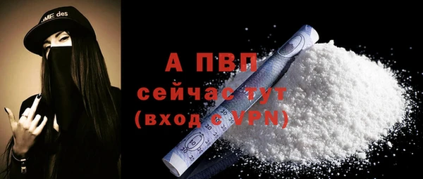 индика Ханты-Мансийск
