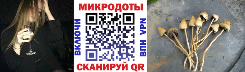 Псилоцибиновые грибы Cubensis  магазин продажи наркотиков  Мценск 